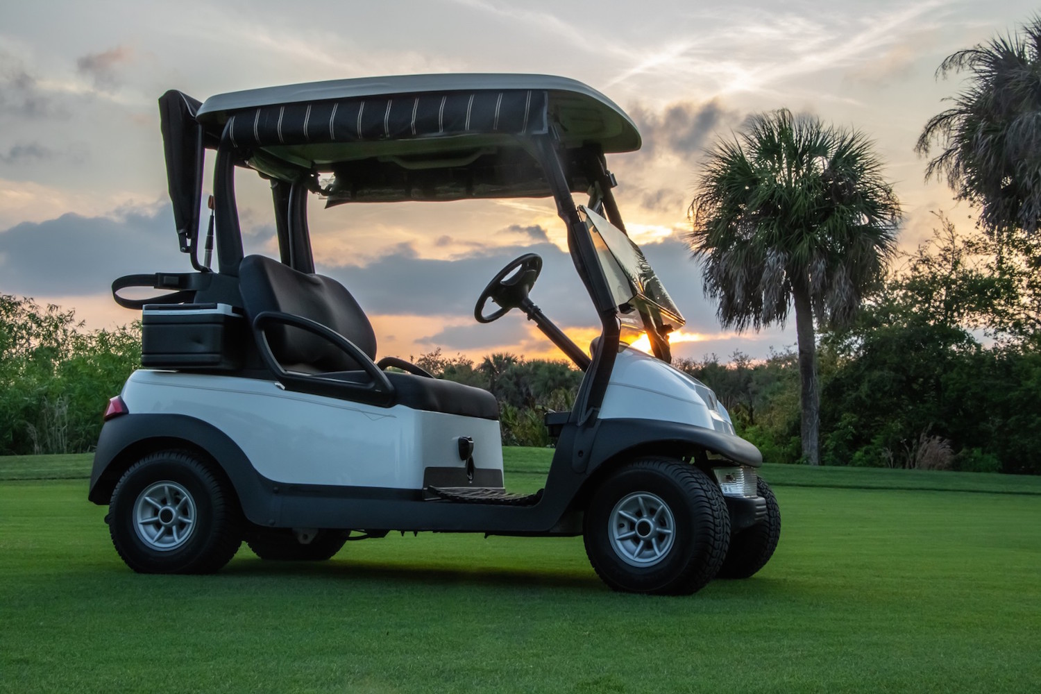 Golf cart on a golf course with palm tree in the background.