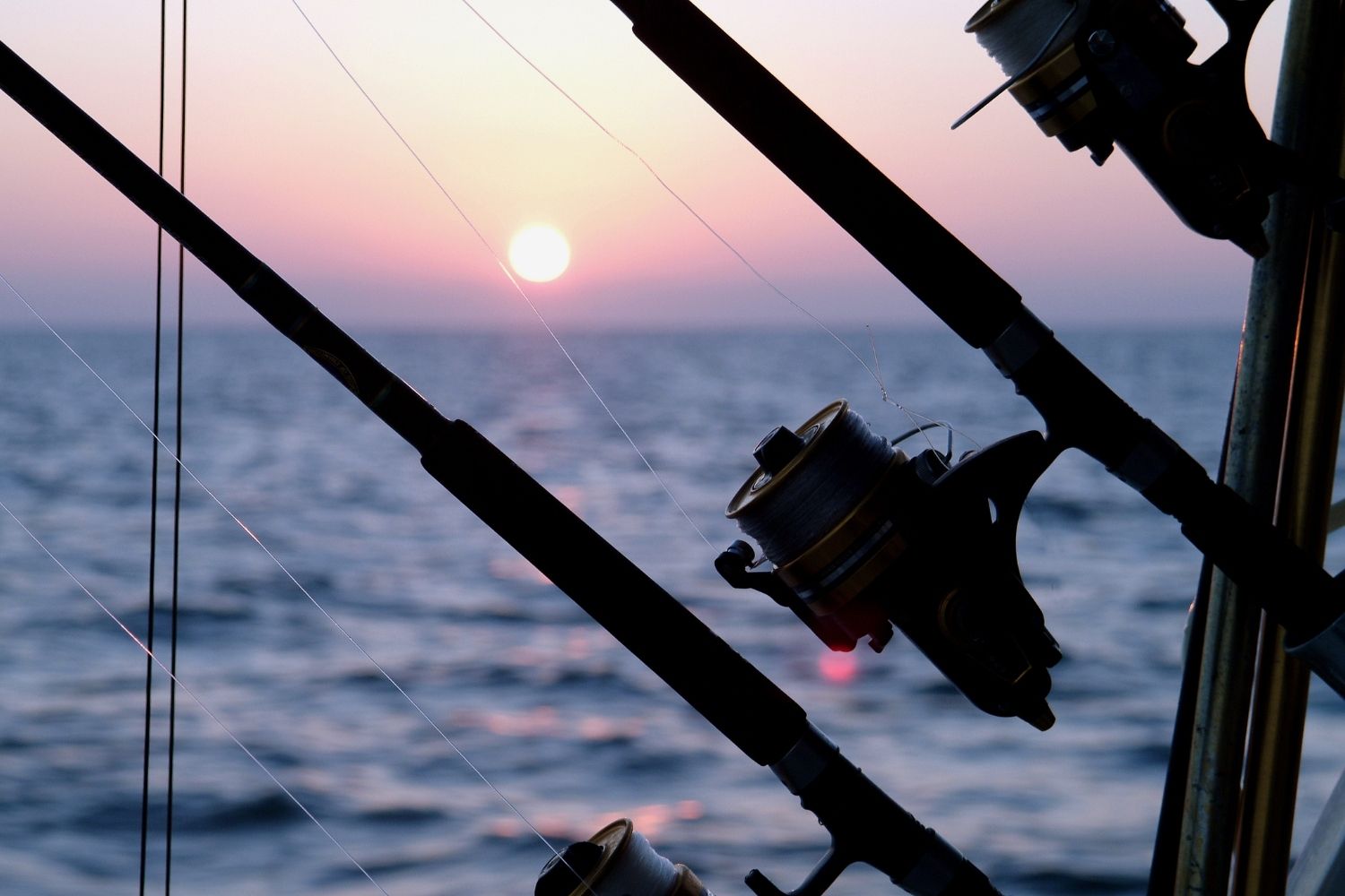 Fishing rod with sunset and ocean in the background.