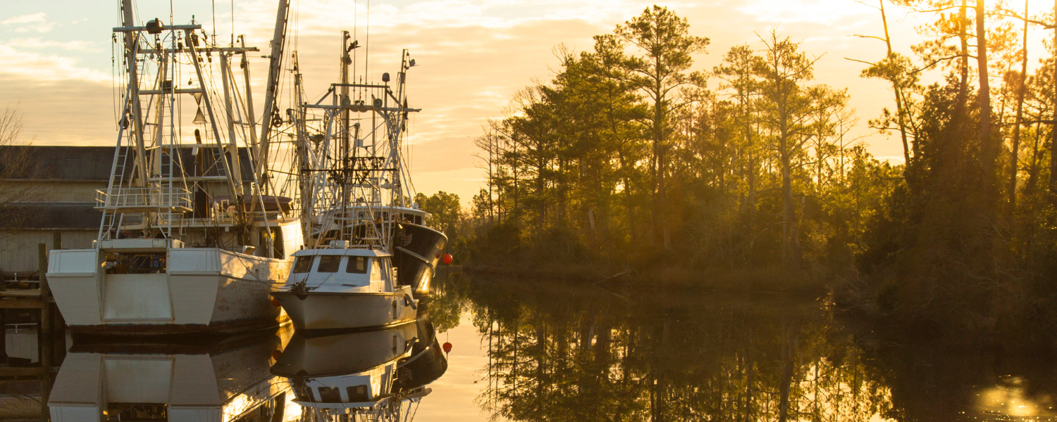 Shrimp boats